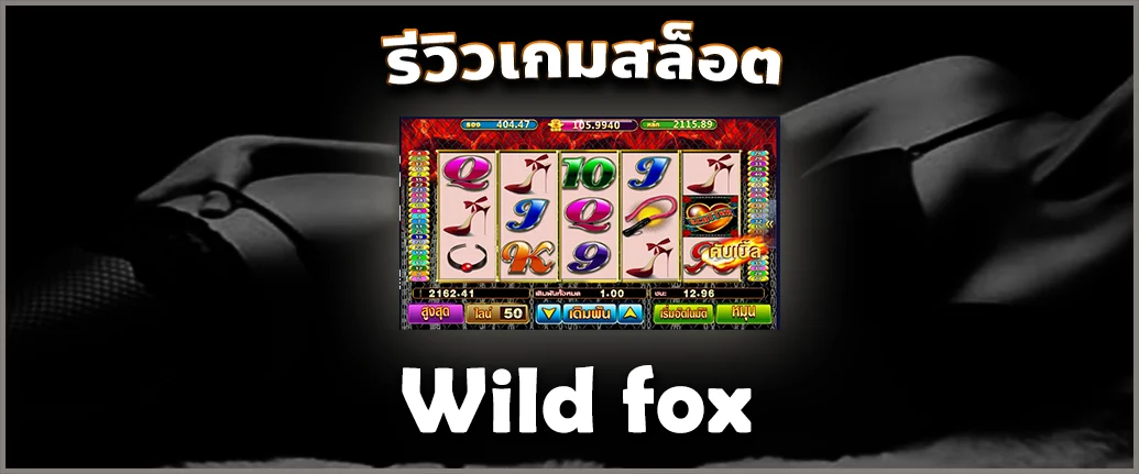 Wild-fox-1